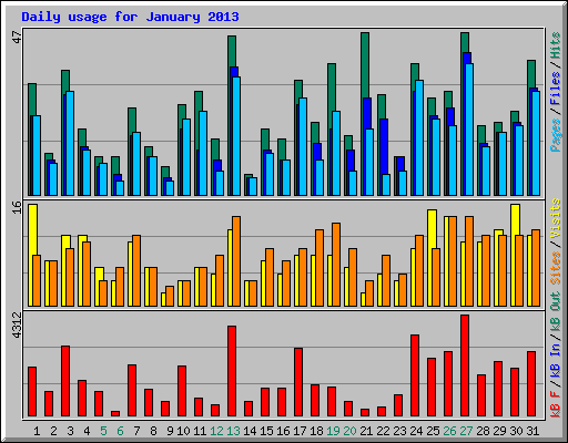 Daily usage for January 2013