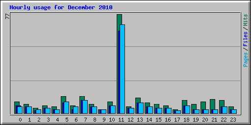 Hourly usage for December 2010