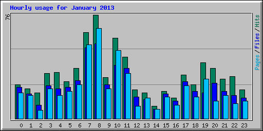 Hourly usage for January 2013